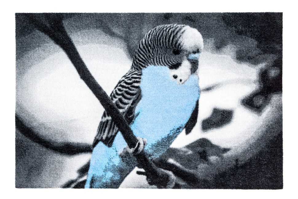 Коврик Delta-UP Ani (Blue Bird) 50х70 см CleanWill (ИНДИЯ)