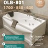 Ванна ГМ 1700*850*630 с насосом OLB-801 с переливом