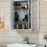 60 Шкаф-зеркало Plaza 600 со светильником VIGO