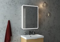 Зеркало-шкаф "Эмоушн / Emotion LED" 500х800 с сенсором и холодной подсветкой