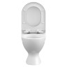 Унитаз в комплекте STAR 031 3/6 DPL EO кос вып 63423